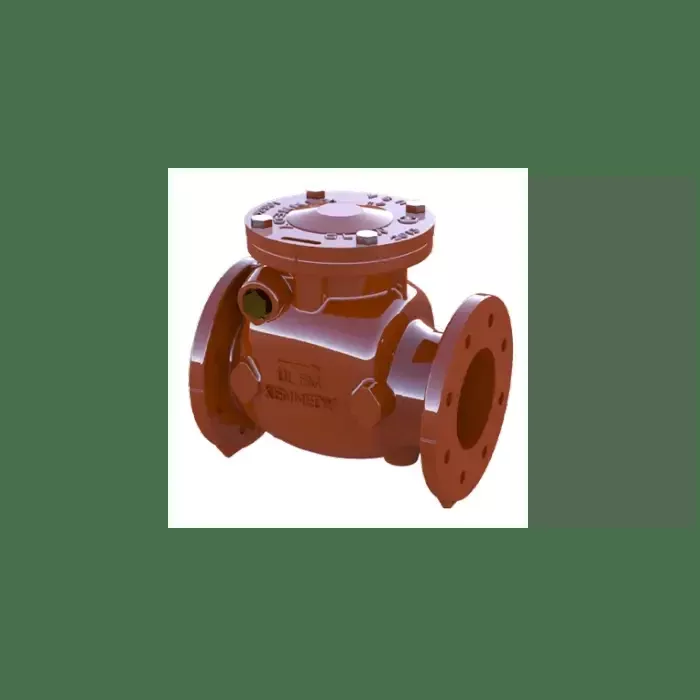 10" Swing Check Valve Flange for Fire Protection System