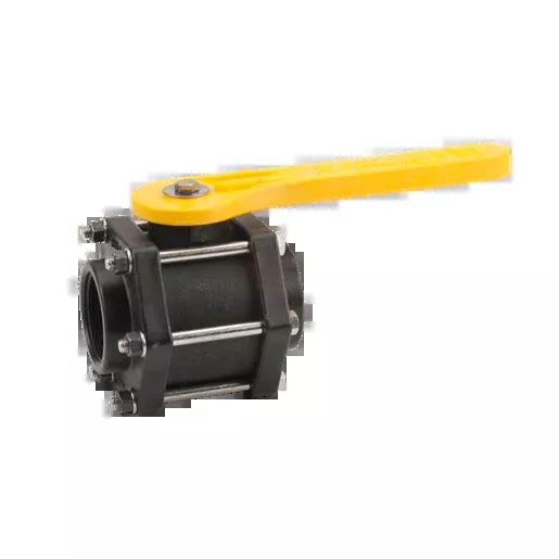 2" Full Port Poly Ball Valve
