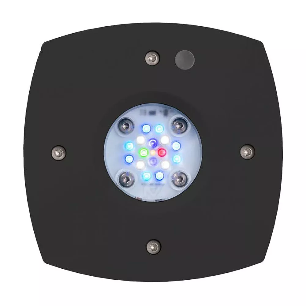 Prime 16 HD LED Reef Light - Black Body